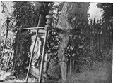 Maiden's tomb photos from c1890