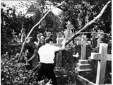  Clearing up the churchyard c 1980